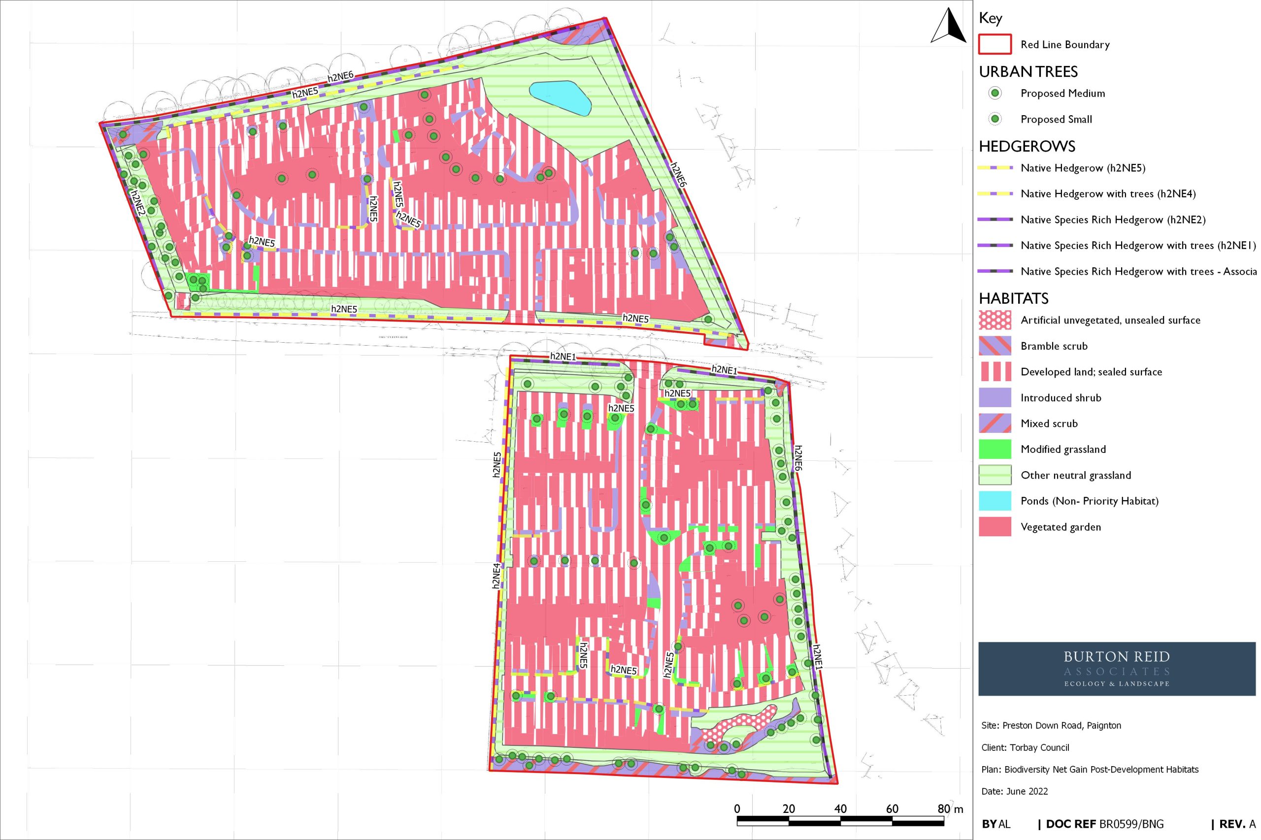 Preston Down Road, Paignton – Ecological Assessment