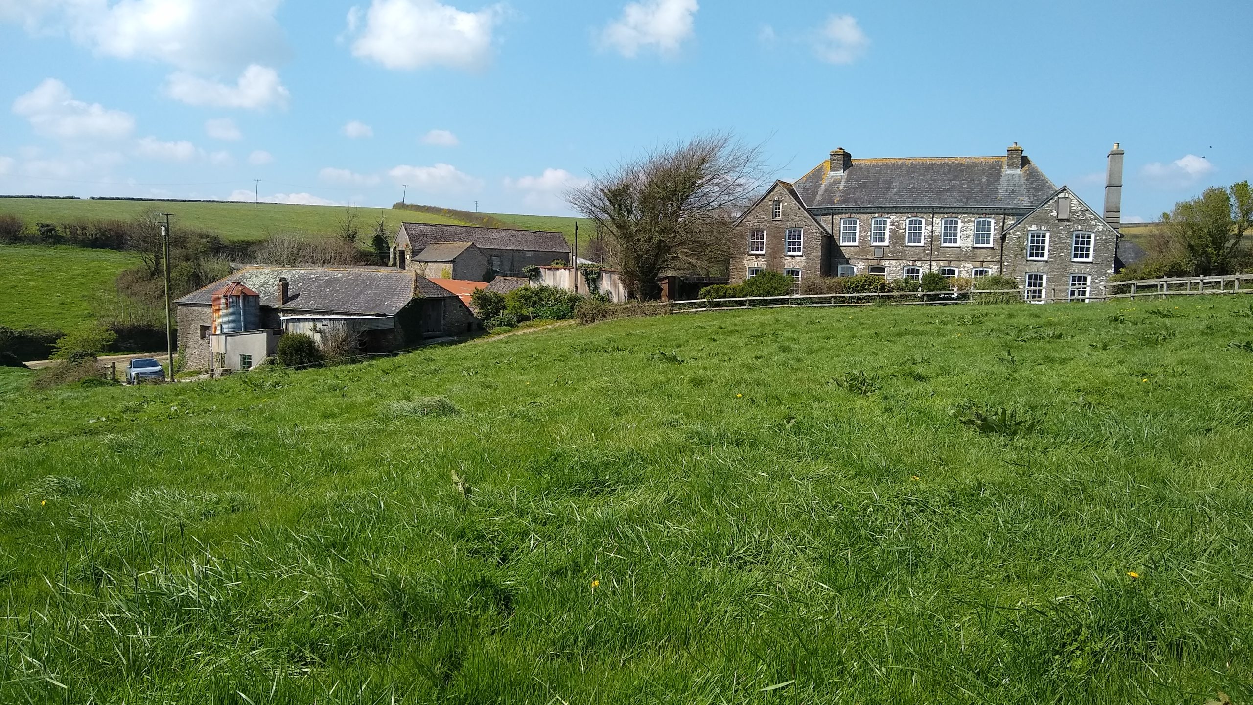 Large Farmstead, South Devon – Bat Mitigation Licence