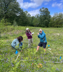 fieldwork-4