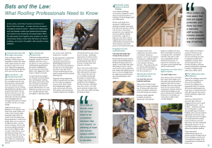 Spring 2026 edition of Traditional Roofing Bats and the Law what Roofing Professionals Need to Know