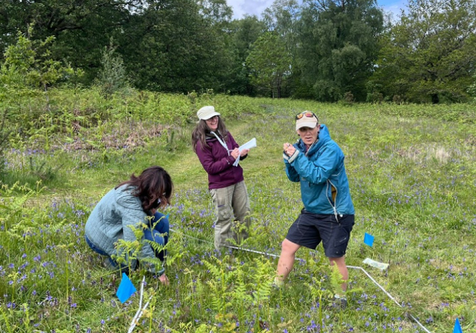 fieldwork-4